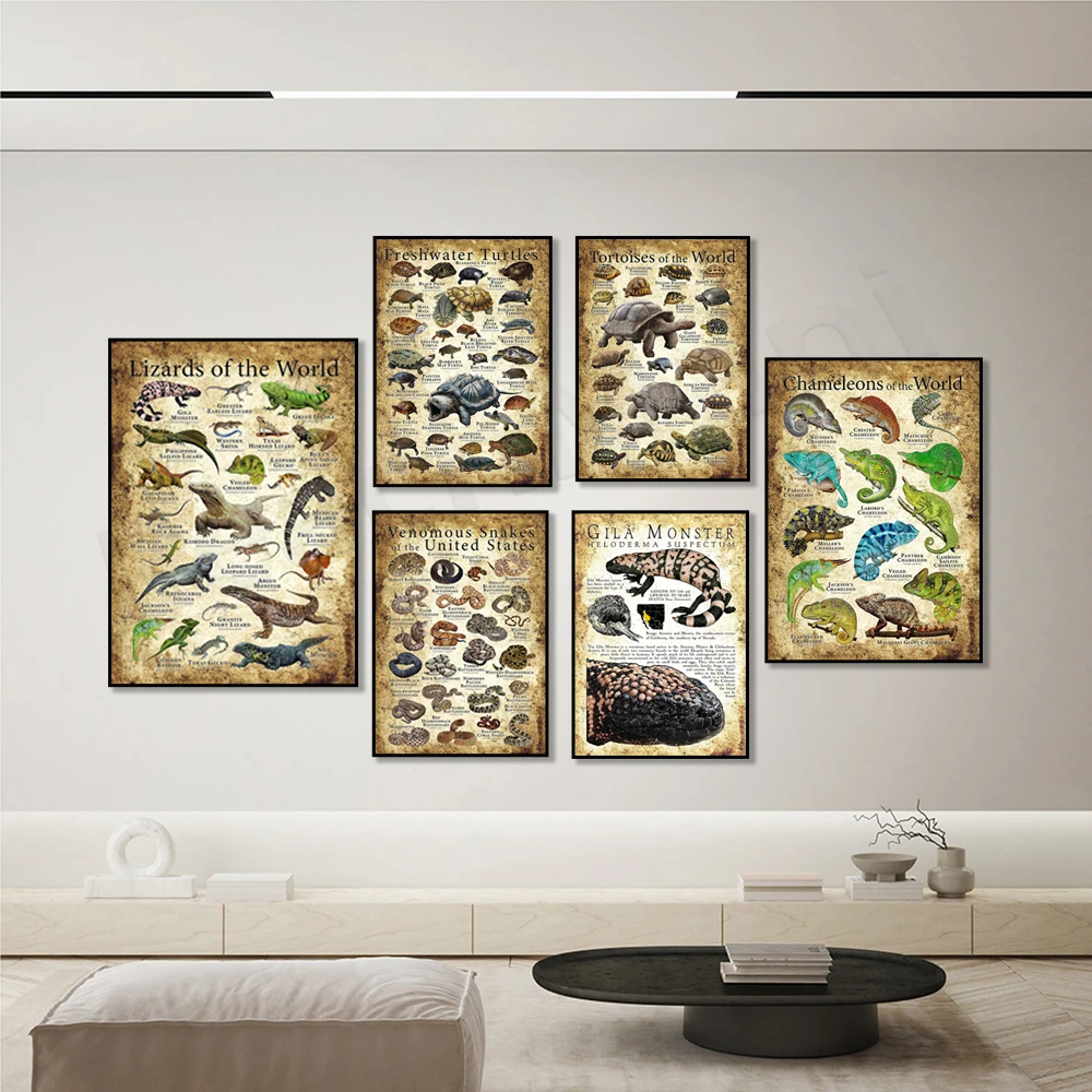 Reptile  Amphibian Educational - Badminton Poster ulasan dan harga