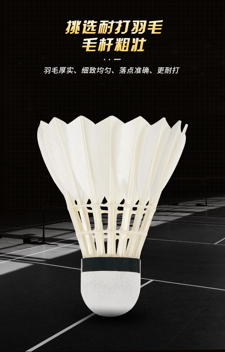 New 12PCS Professional Badmint - Badminton Bwf ulasan dan harga