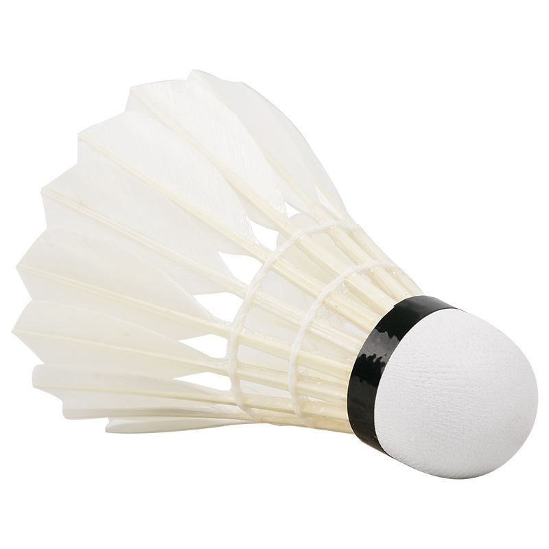 New 12PCS Professional Badmint - Badminton Bwf ulasan dan harga