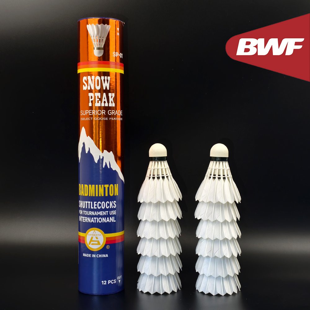 SP-01 Professional Tournament  - Badminton Bwf ulasan dan harga