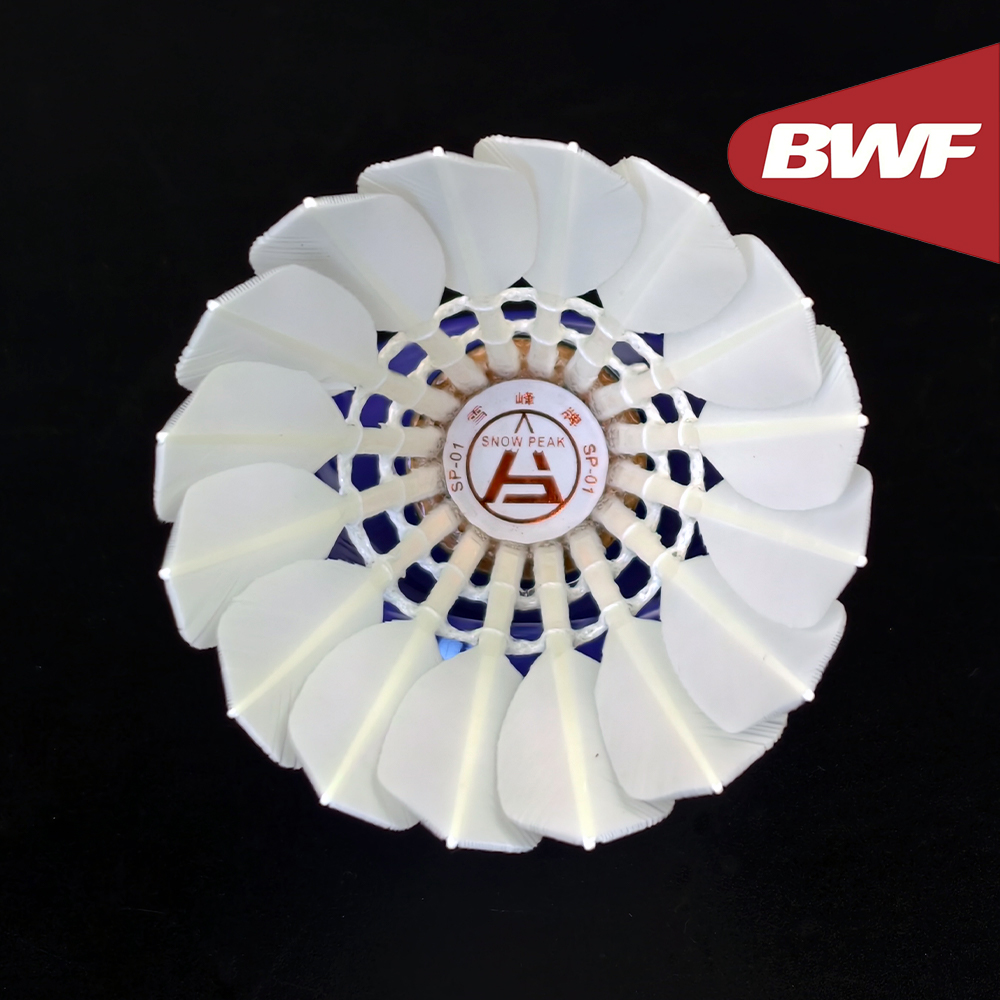 SP-01 Professional Tournament  - Badminton Bwf ulasan dan harga
