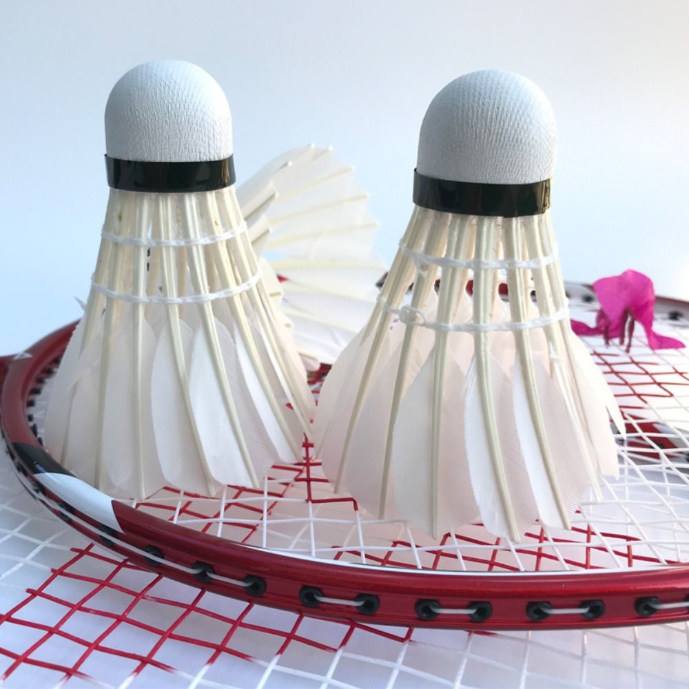 3/6/12Pcs New White Badminton  - Badminton Bwf ulasan dan harga