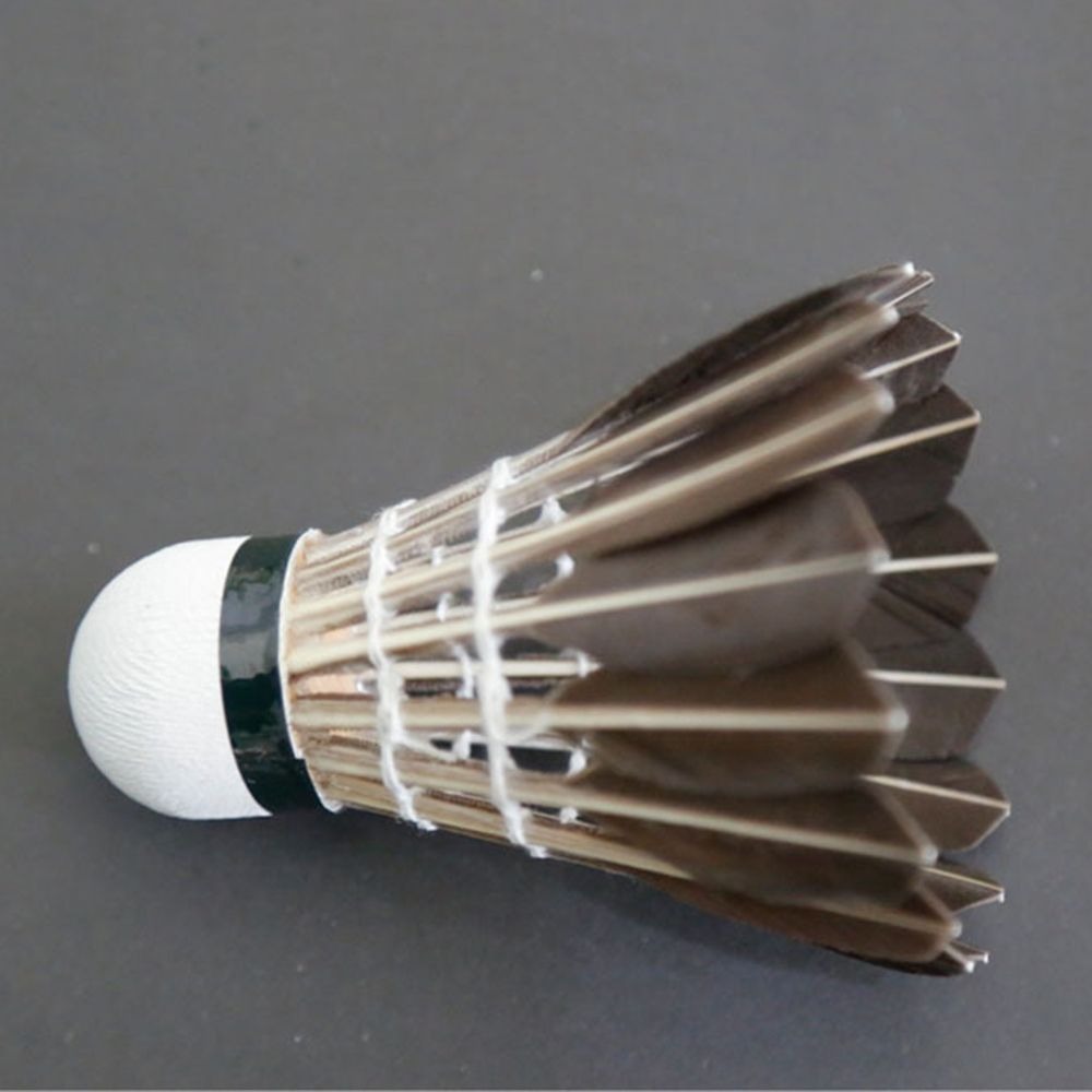 3/6/12Pcs Accessories Stable S - Badminton Bwf ulasan dan harga