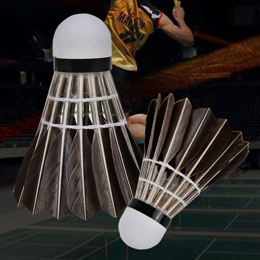3/6/12Pcs Accessories Stable S - Badminton Bwf ulasan dan harga