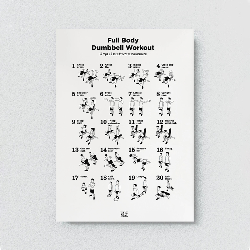 Dumbbell Gym Chart Poster Prin - Badminton Poster ulasan dan harga