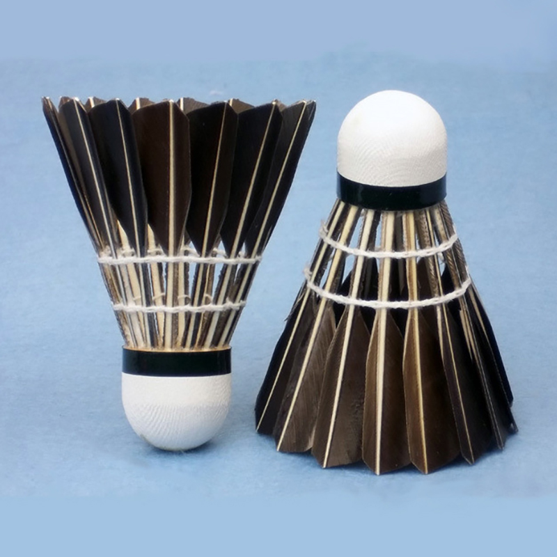 New 3/6/12pcs Professional Bad - Badminton Xxl ulasan dan harga